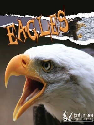 cover image of Eagles